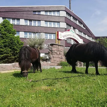 Lugsteinhof Альтенберг
