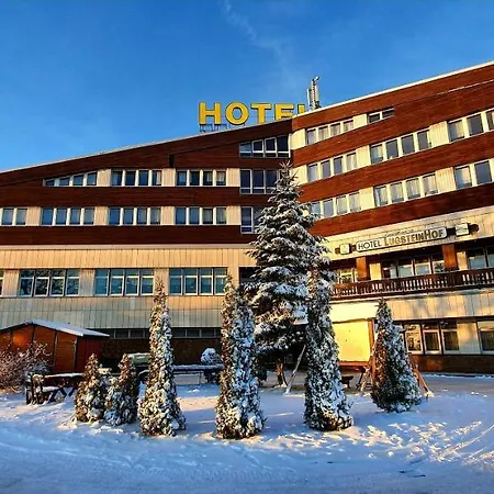 Lugsteinhof Hotel Altenberg (Osterzgebirge)