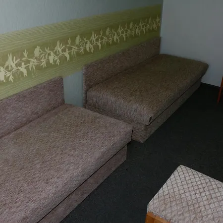 Hotel Lugsteinhof Altenberg (Osterzgebirge)