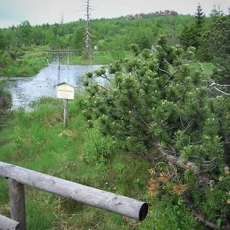 Hotell Lugsteinhof 3*