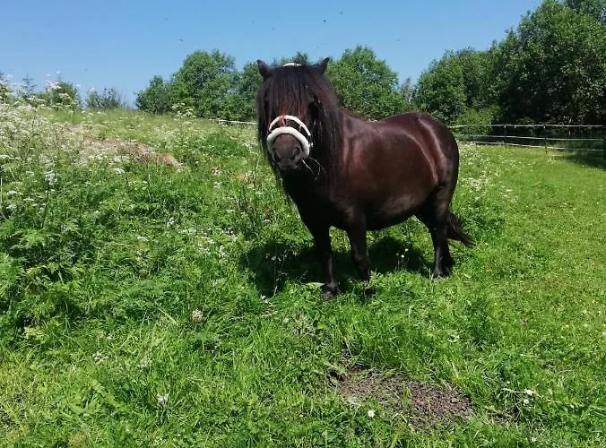 Lugsteinhof Altenberg (Erzgebirge)