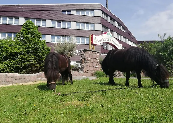 Lugsteinhof Altenberg (Osterzgebirge)