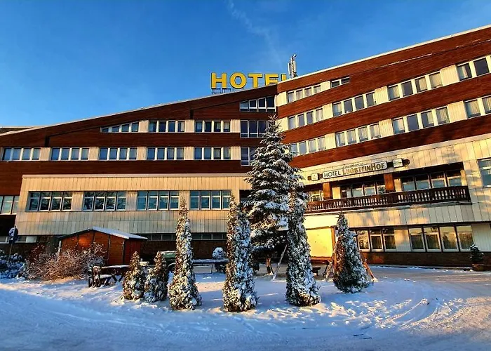 Lugsteinhof Hotel Altenberg (Osterzgebirge)