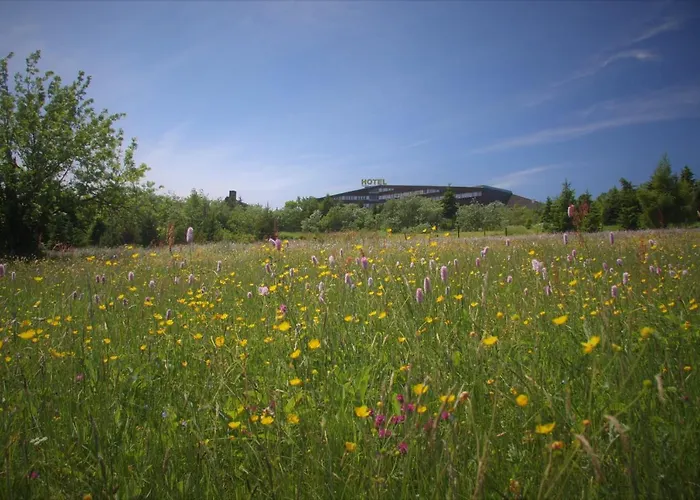 Lugsteinhof Altenberg (Osterzgebirge)
