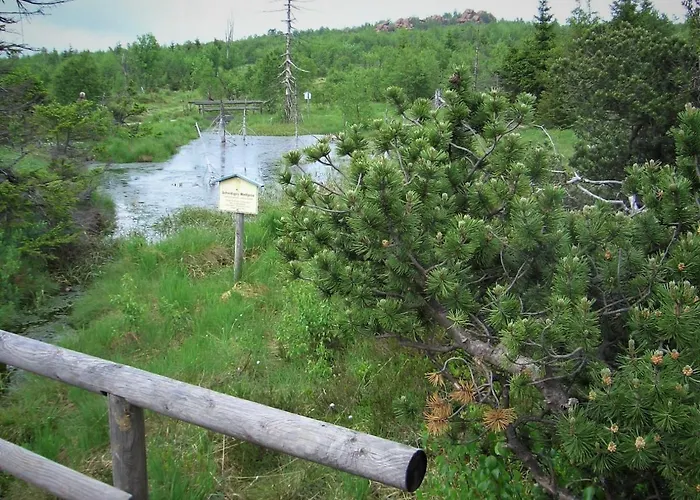 Hotel Lugsteinhof 3*
